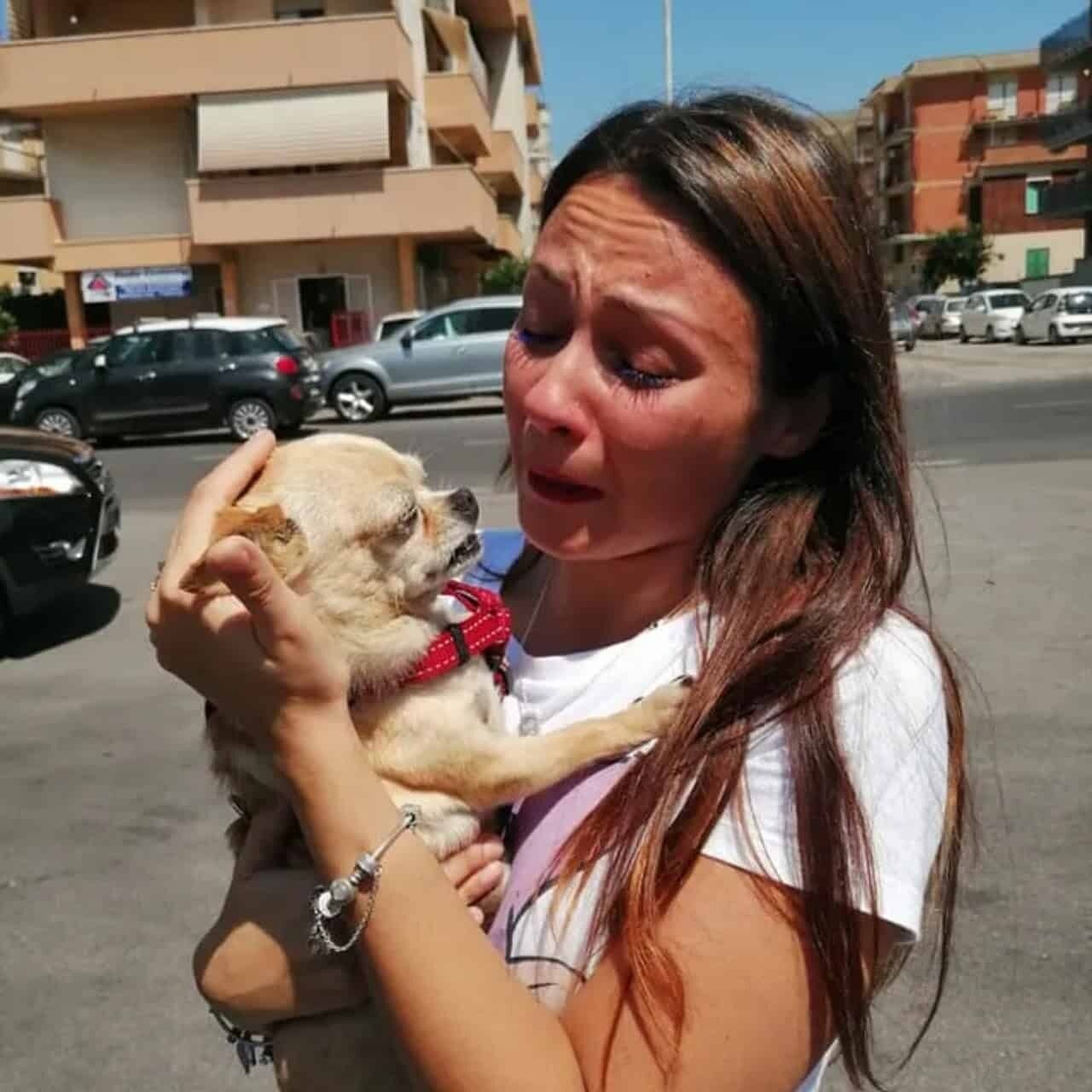 After Eight Years Apart, Maya the Chihuahua Reunites with Her Family