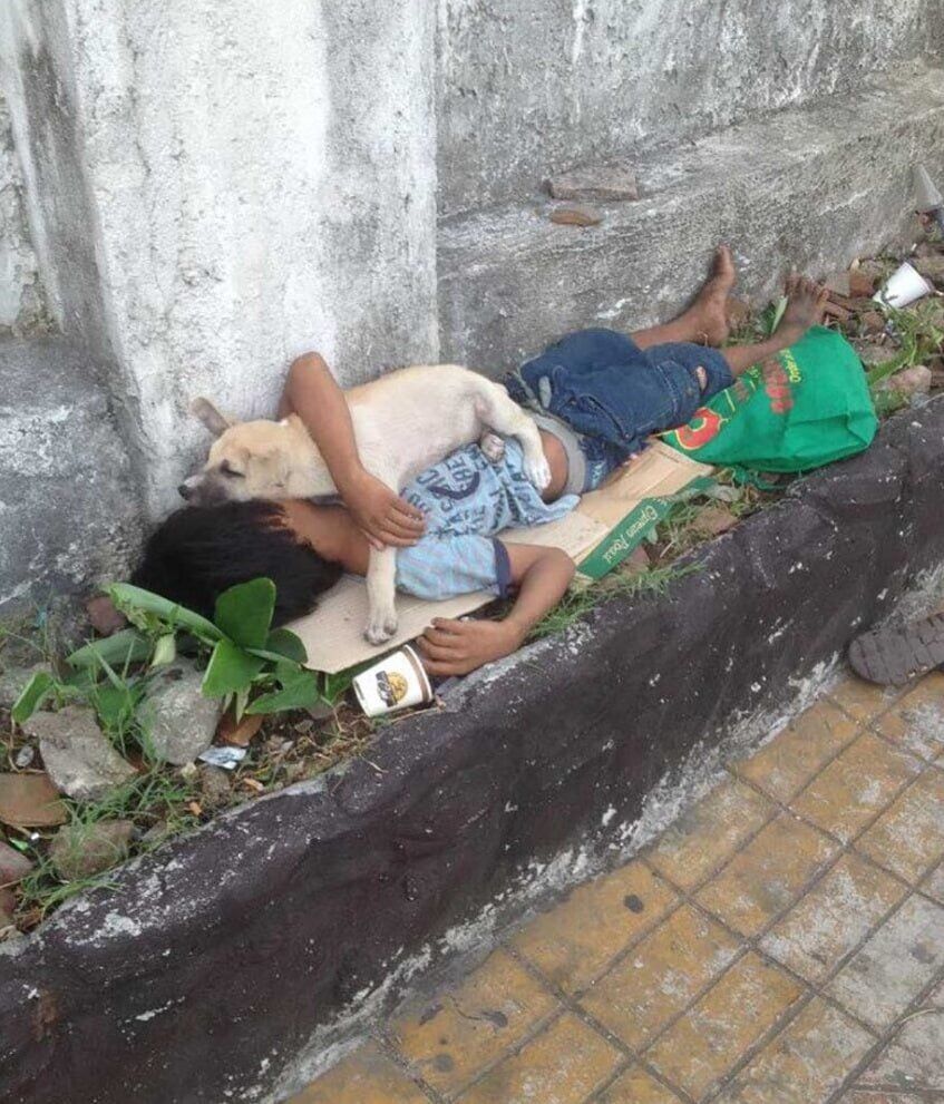 A Touching Story! After Being Abandoned By His Parents, The Boy Found Love In The Dog’s Arms