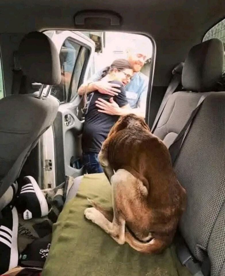 The Return of Max: A Tale of Hope and Reunion