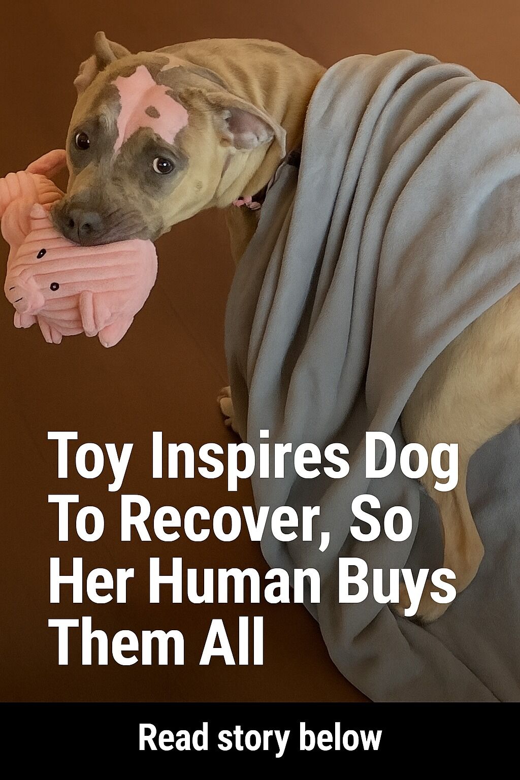 Toy Inspires Dog To Recover, So Her Human Buys Them All