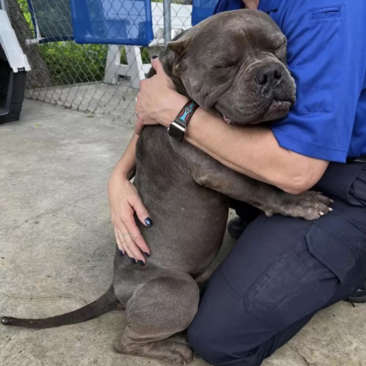 Relieved Shelter Dog Thanks His Rescuers With Biggest Hugs