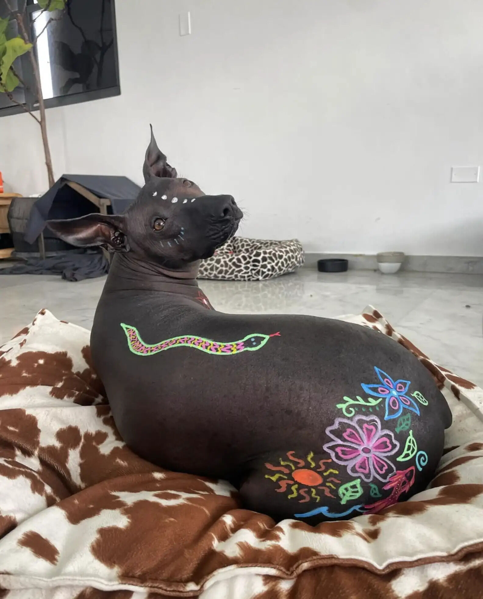 People Were ‘Disgusted’ By This Dog, So Her Mom Made Her A Work Of Art