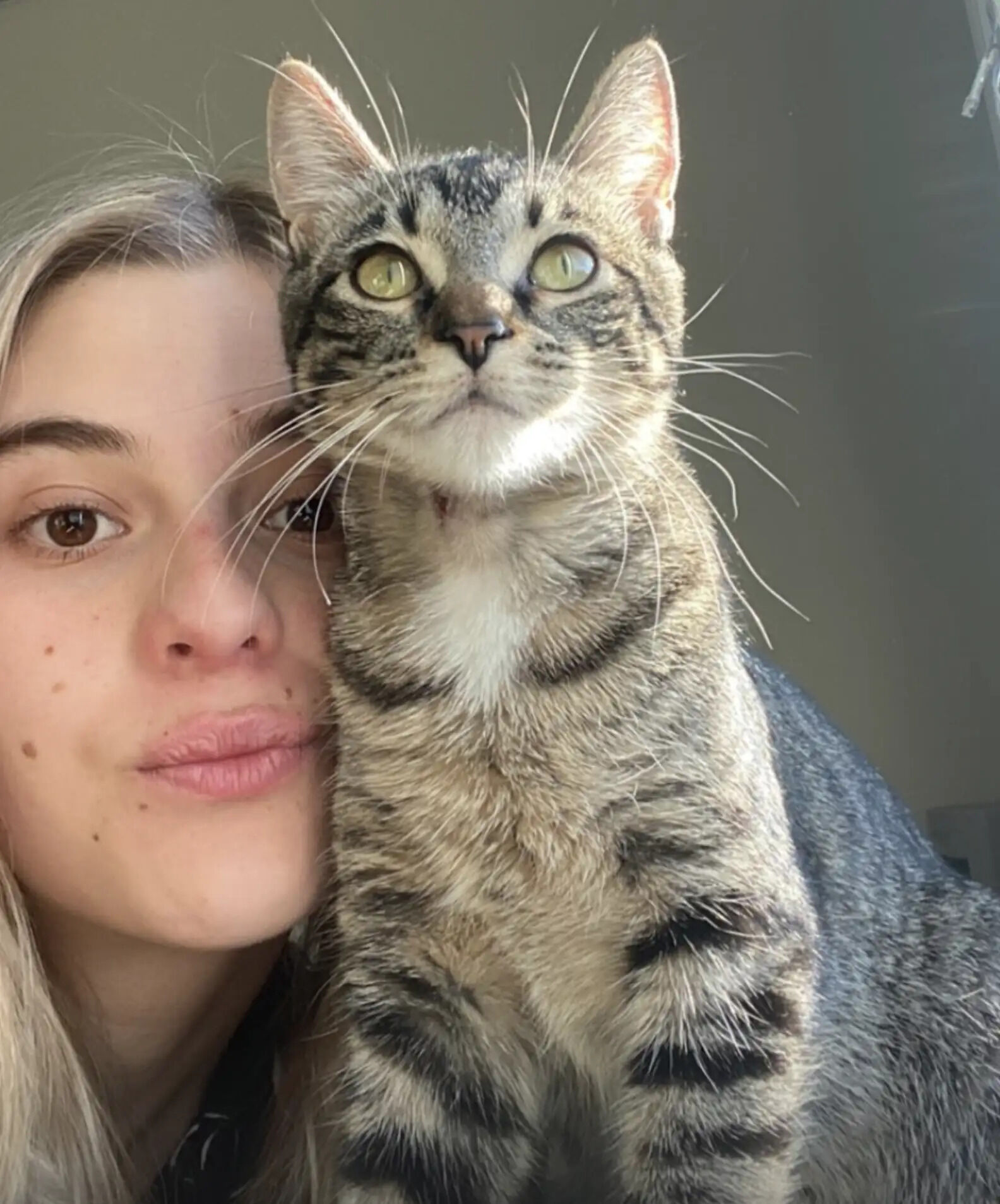 Cat Teaches Herself How To Use iPad So She Can Watch Her Favorite Videos