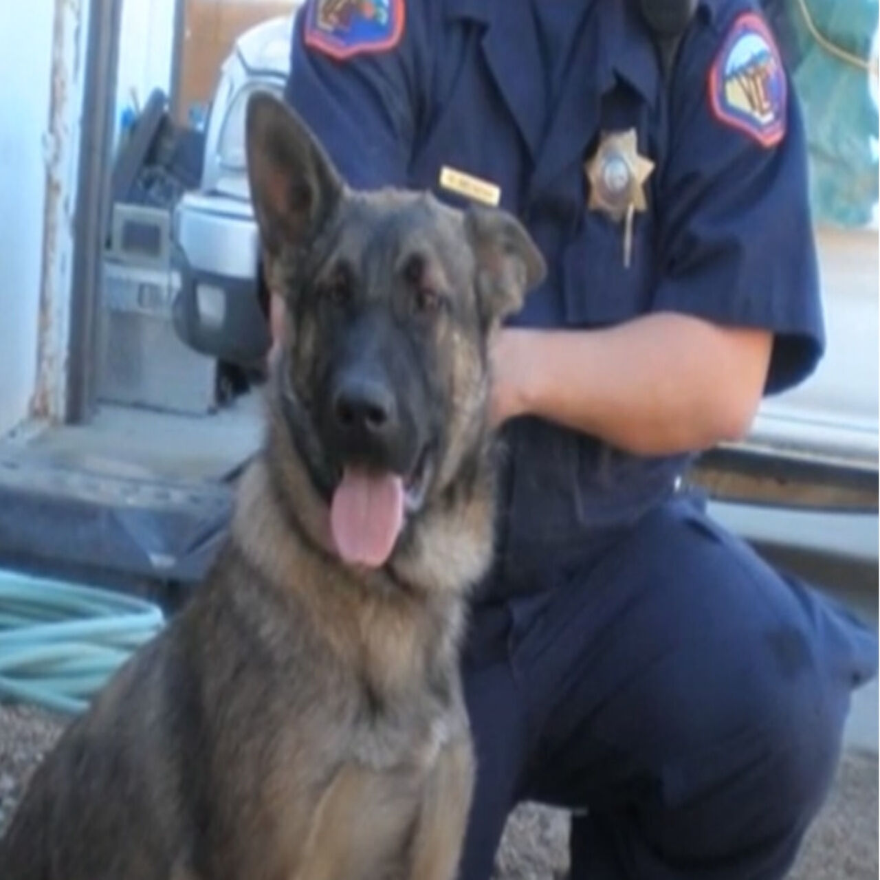 Playful Pup Rebel Rescued from Unusual Wall Predicament in Riverside County