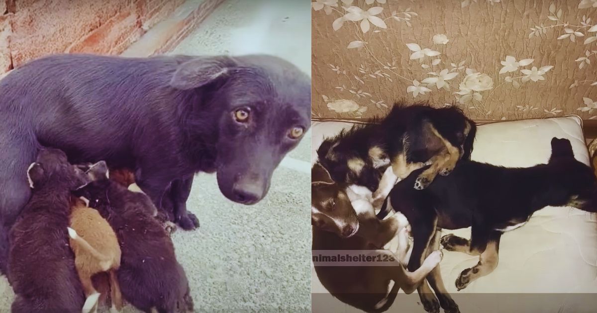 She Watched the Parking Lot with Eyes That Held Too Many Stories