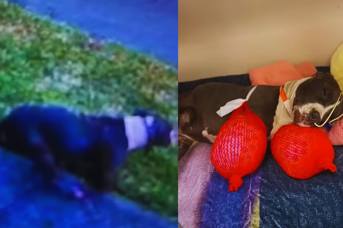 Athena Walked on Her Bones — But She Never Gave Up