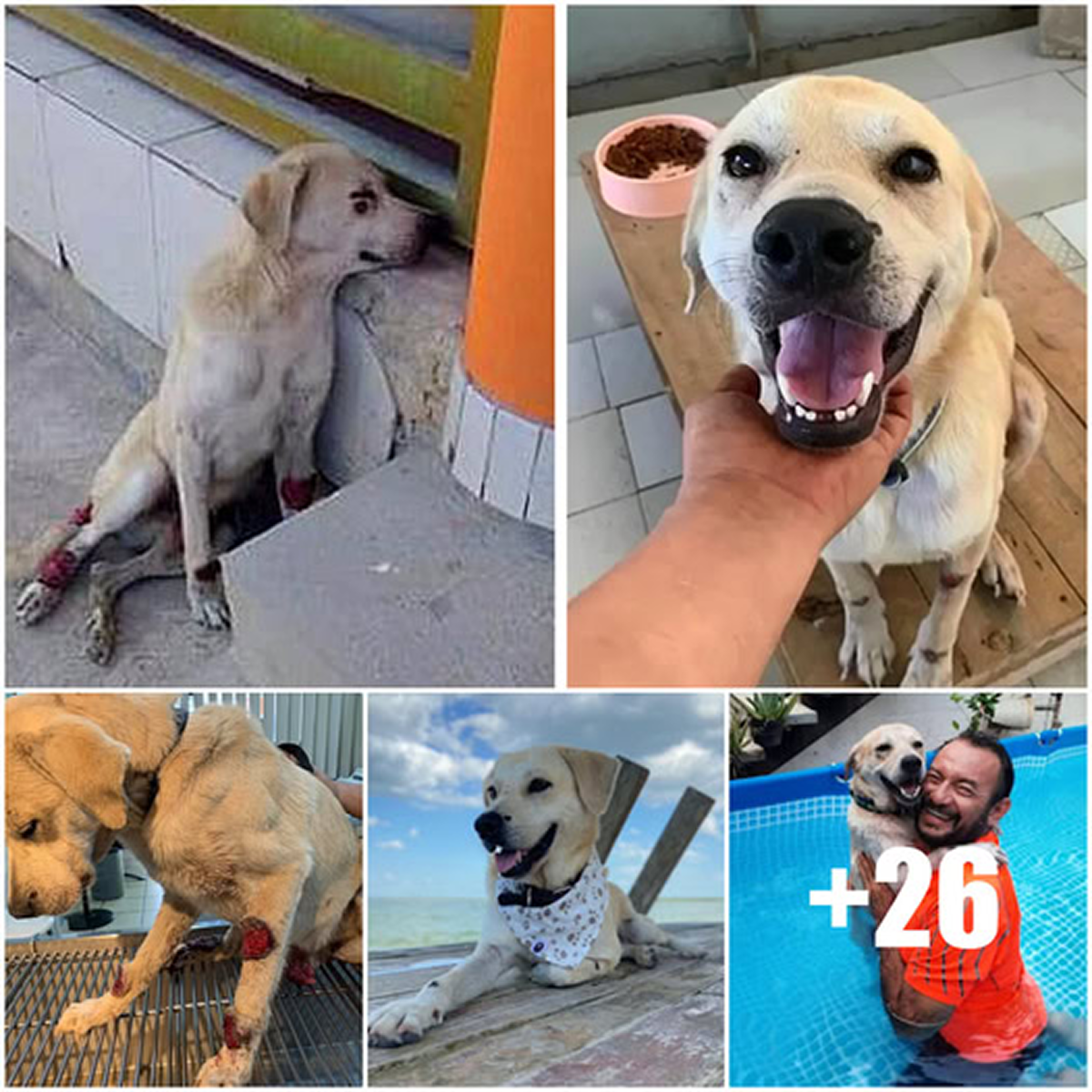 From Cast Aside to Cherished: Coronel’s Transformation from Sickness and Struggle to a Life of Love and Dignity.