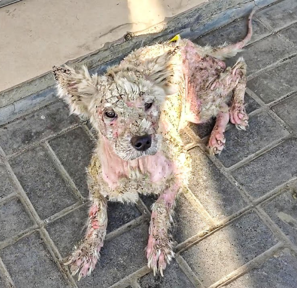 After 200 Days of Feeling Invisible, He Chose the Light — We Faced the Light Together ended the invisibility