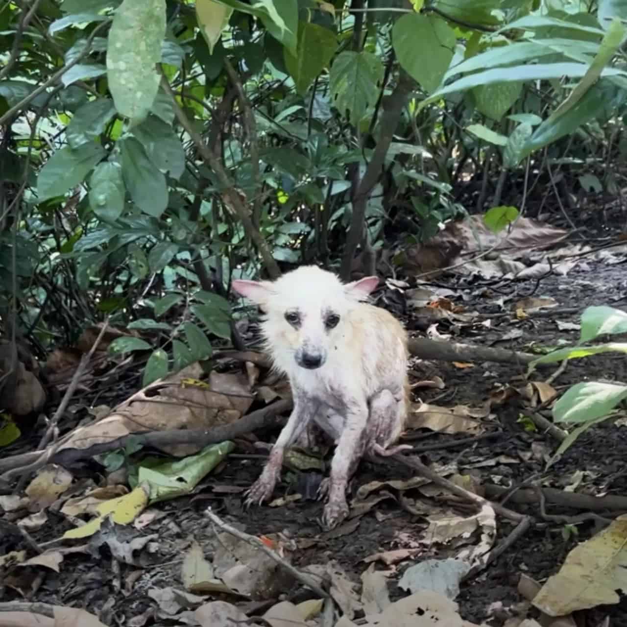 From Shivering in the Forest to a Joyful Life: Hope’s Incredible Transformation