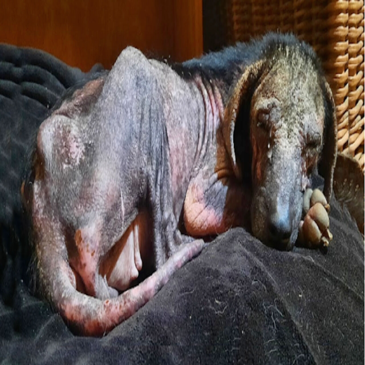 For the First Time, She Felt Love—And She Cried