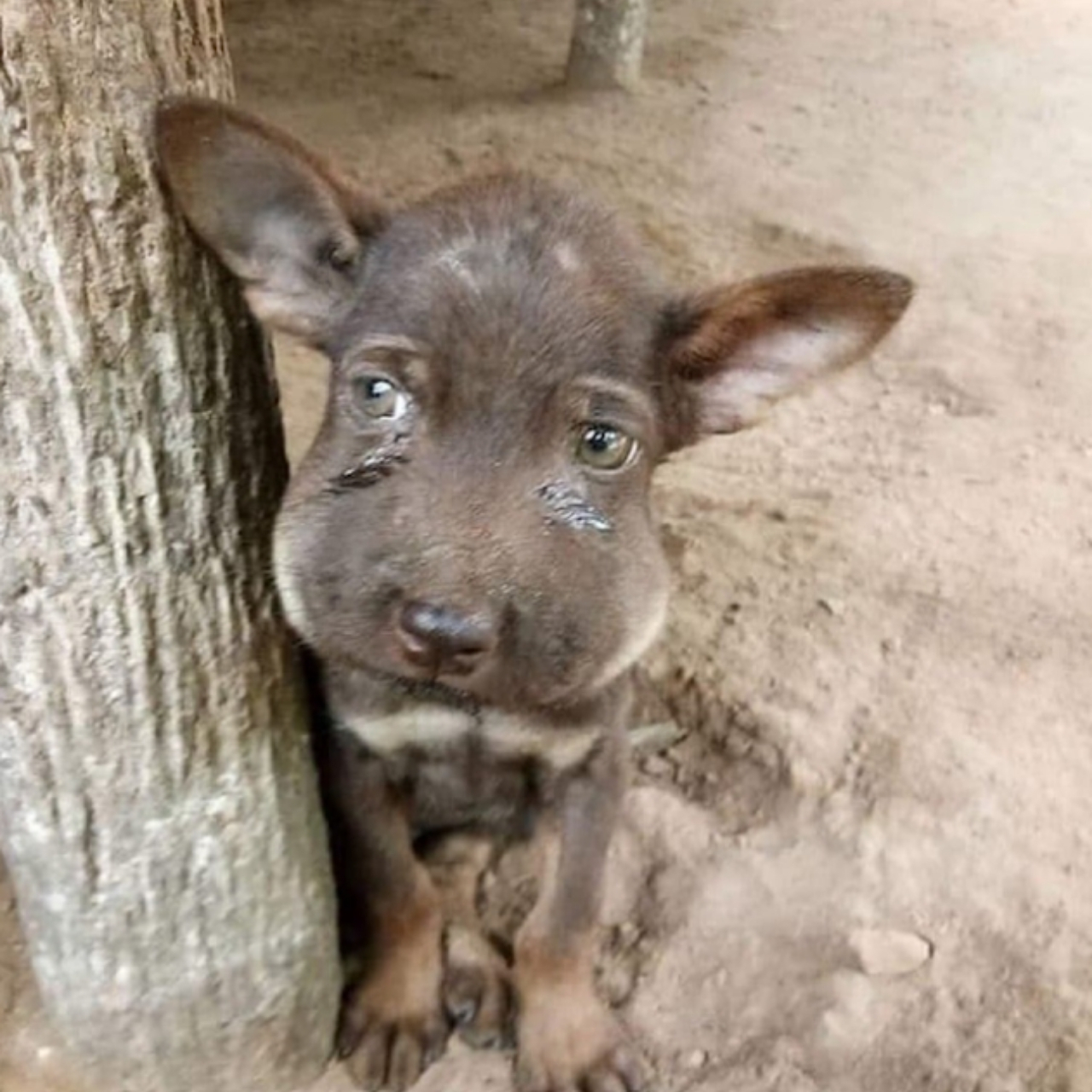 Embracing Inner Beauty: A Birthday Reflection