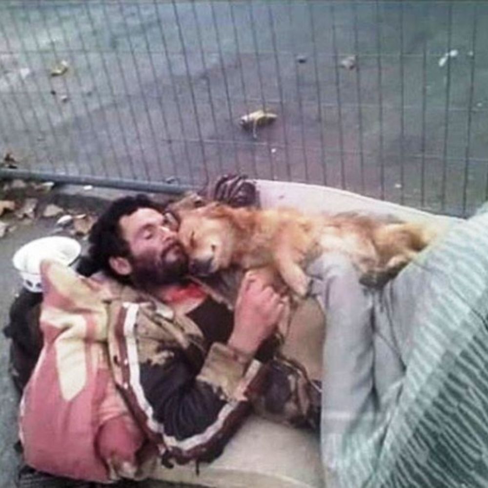 No Home, But Not Alone: A Man and His Dog Find Shelter in Each Other’s Arms
