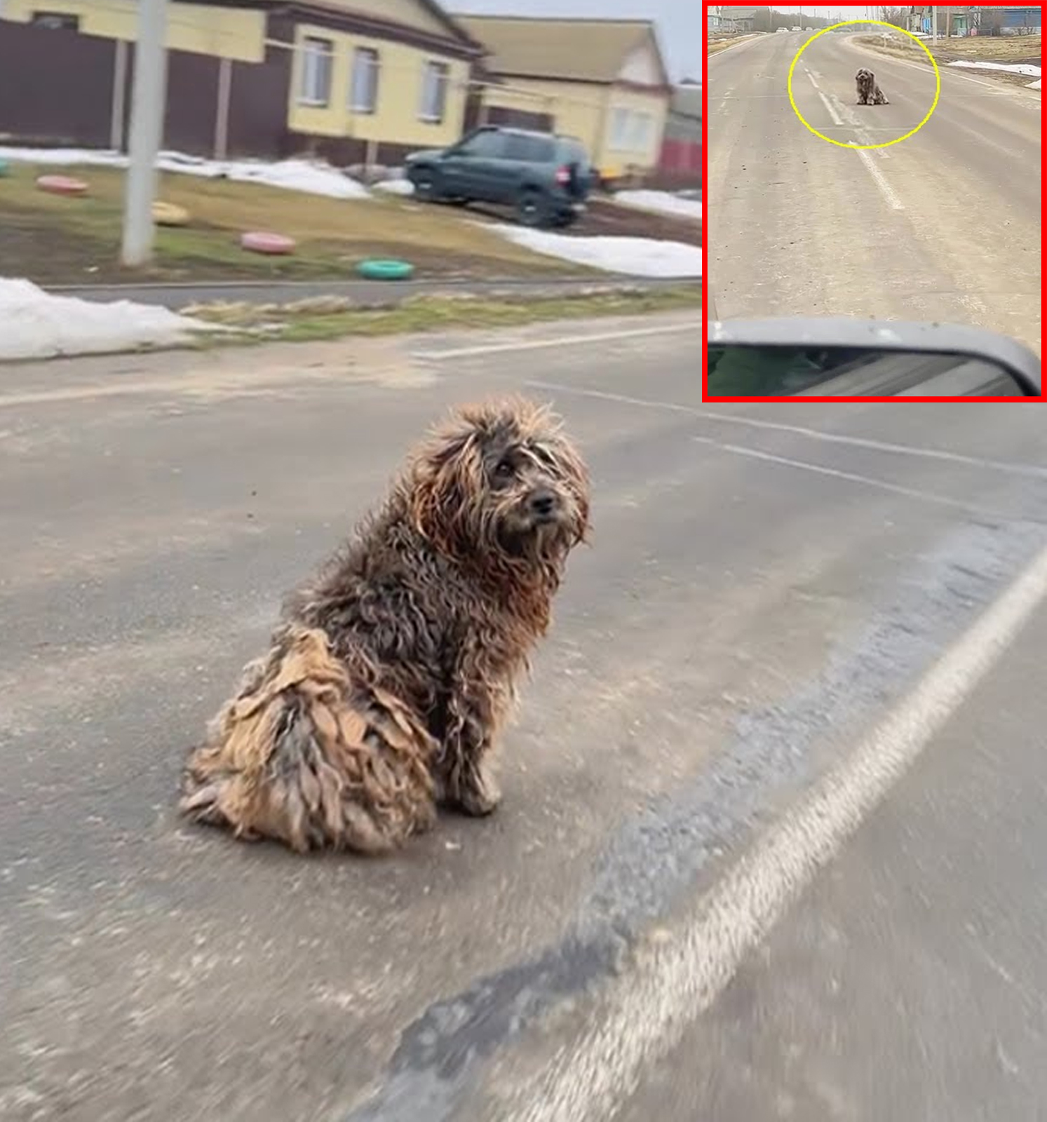 For 12 Years, He Signaled for Help to Every Driver… What They Missed Is Shocking!