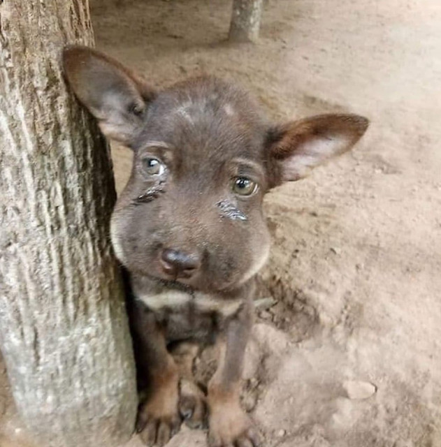 Embracing Inner Beauty: A Birthday Reflection