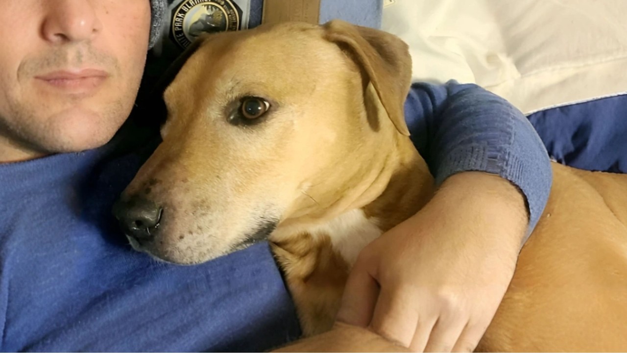 He never made a sound after being rescued from dog fights — not until he truly loved his owner.