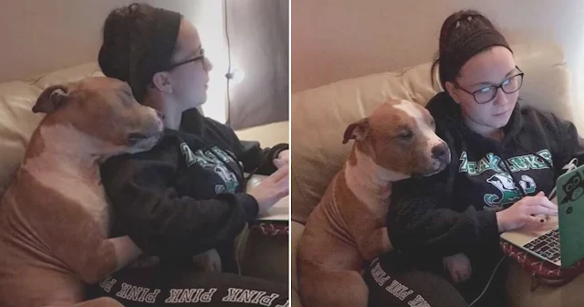 Dog Expresses His Love With Hugs After Finding A New Home With Woman