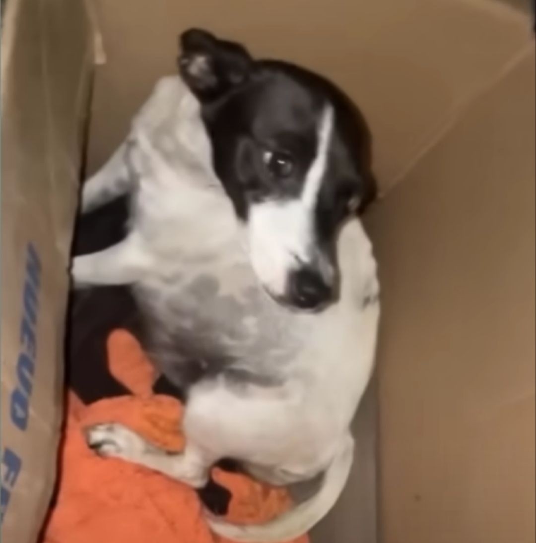 A Mother’s Quiet Courage