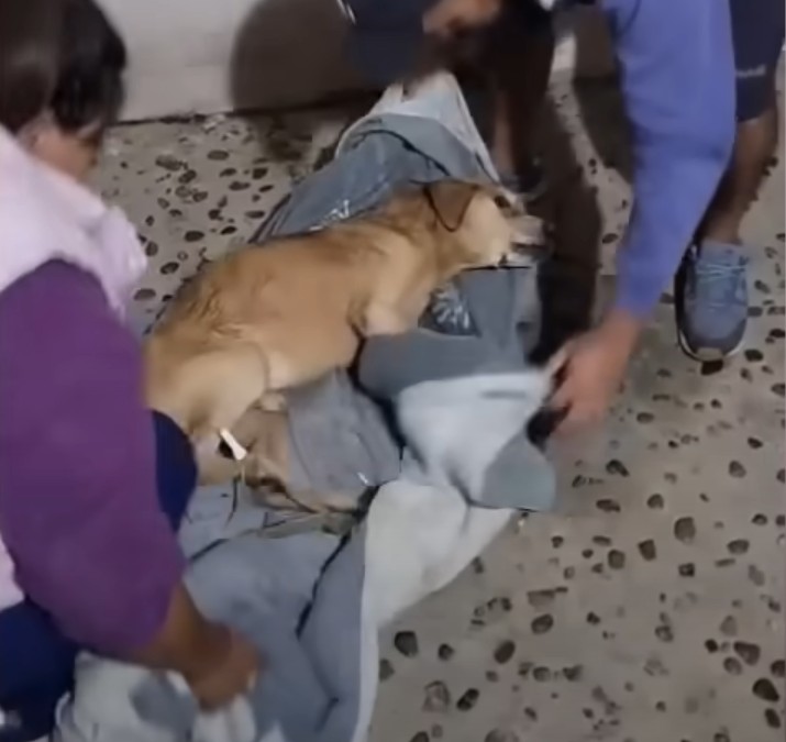 Angel Was Left to Die Behind a Locked Door — But Love Found Him First