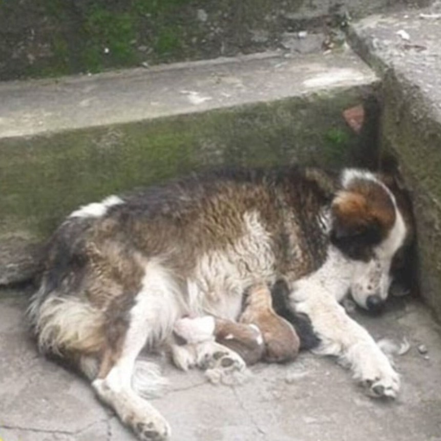 Thrown Away Before Birth, Now Surrounded by Love