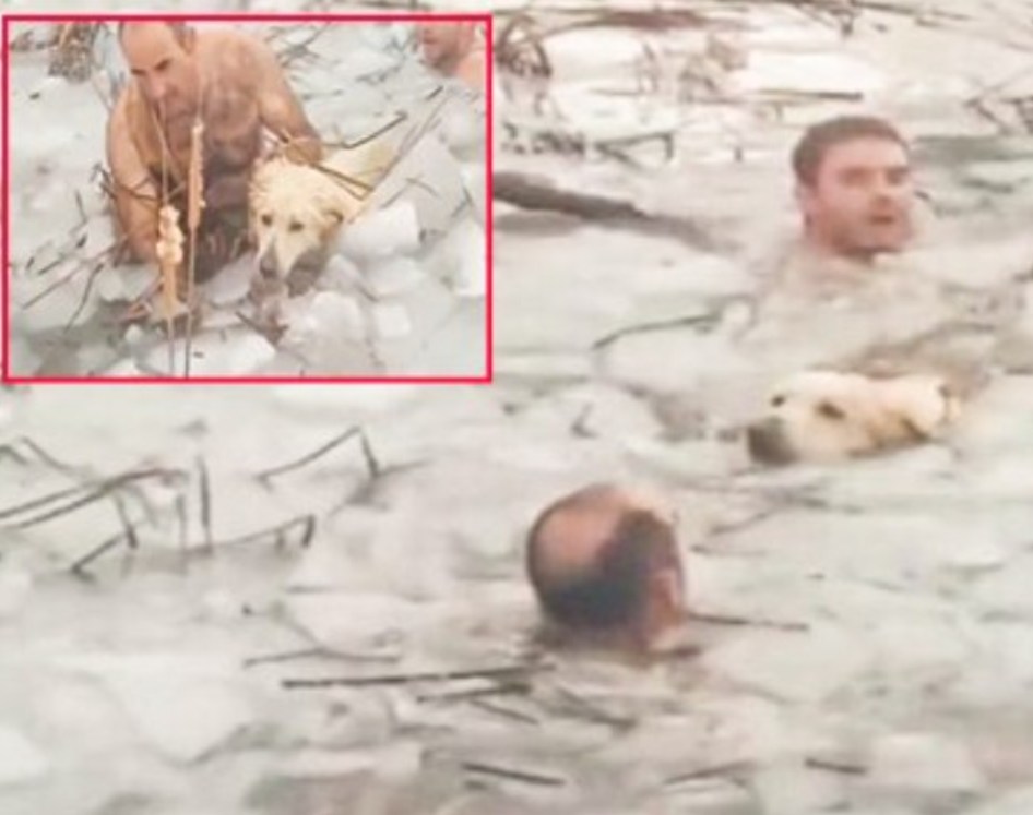 Spanish Police Officers Wade Through Frozen Lake To Save A Dog Trapped In Icy Waters