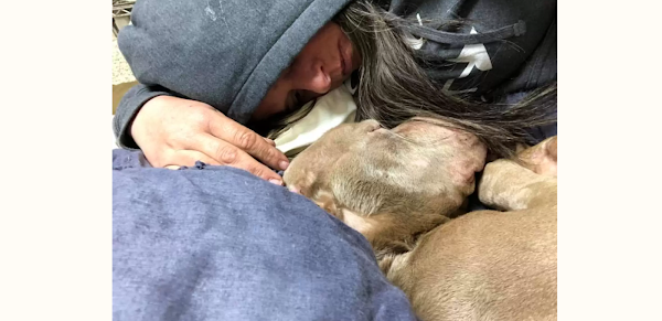 Woman Stays Overnight at Shelter to Comfort Dying Dog