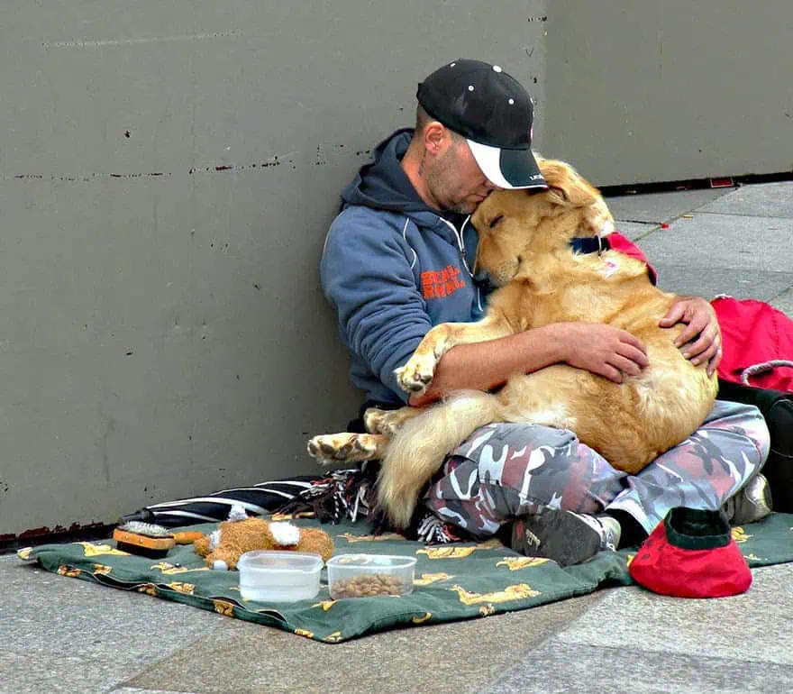 Heartwarming Bond Between Homeless Man and His Loyal Dogs Touches Millions Worldwide