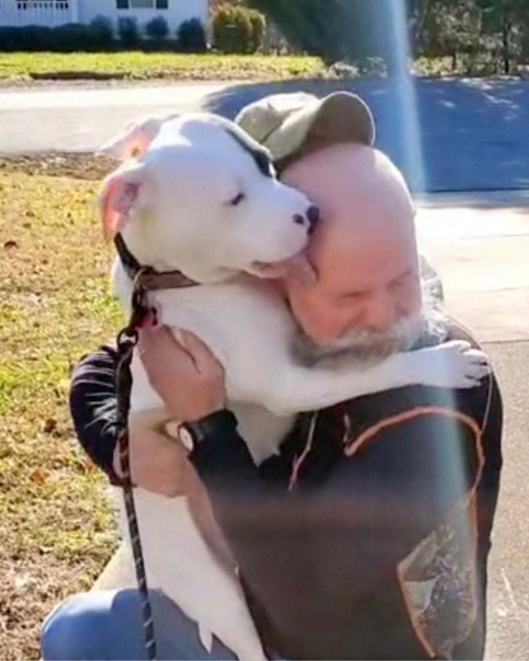 How One Rescue Dog Brought a Family Back to Life