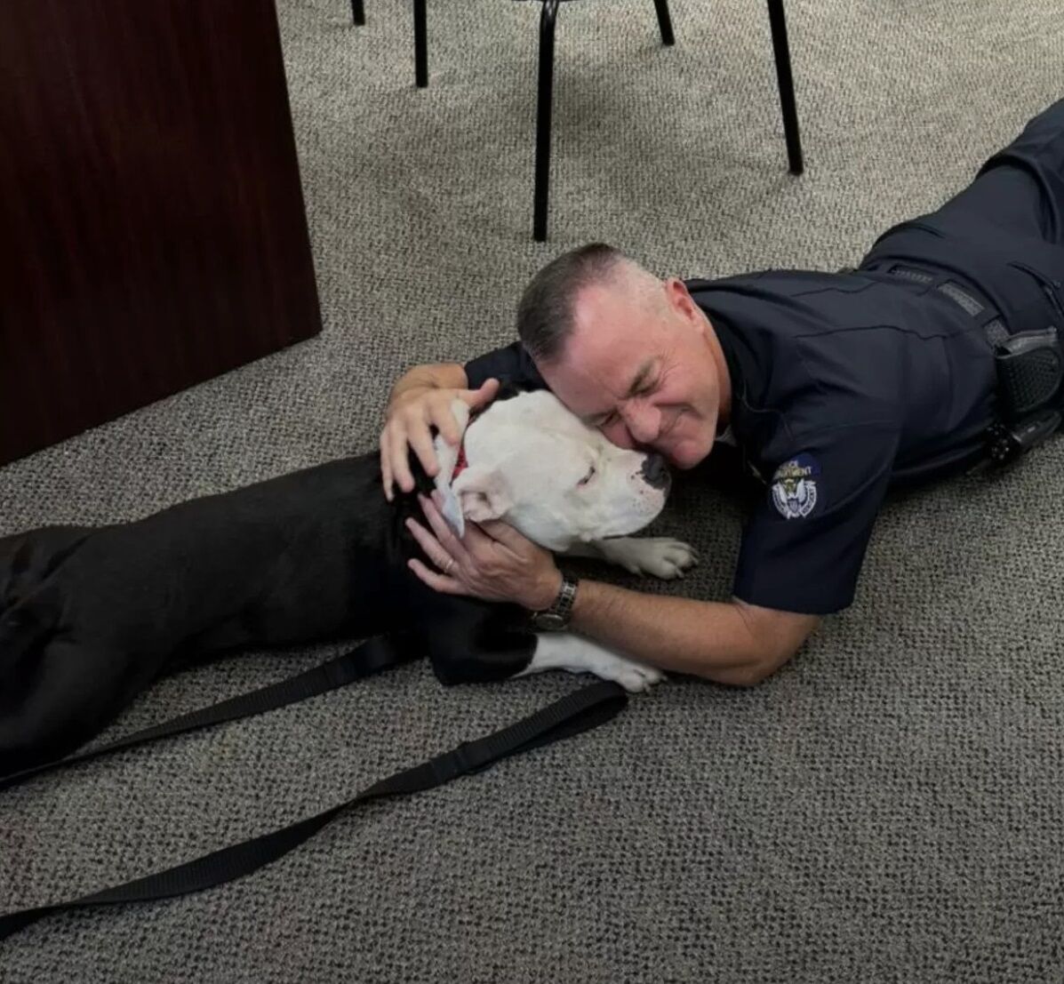 Shelter Dog Visits Police Department For A Day And Ends Up Staying Forever