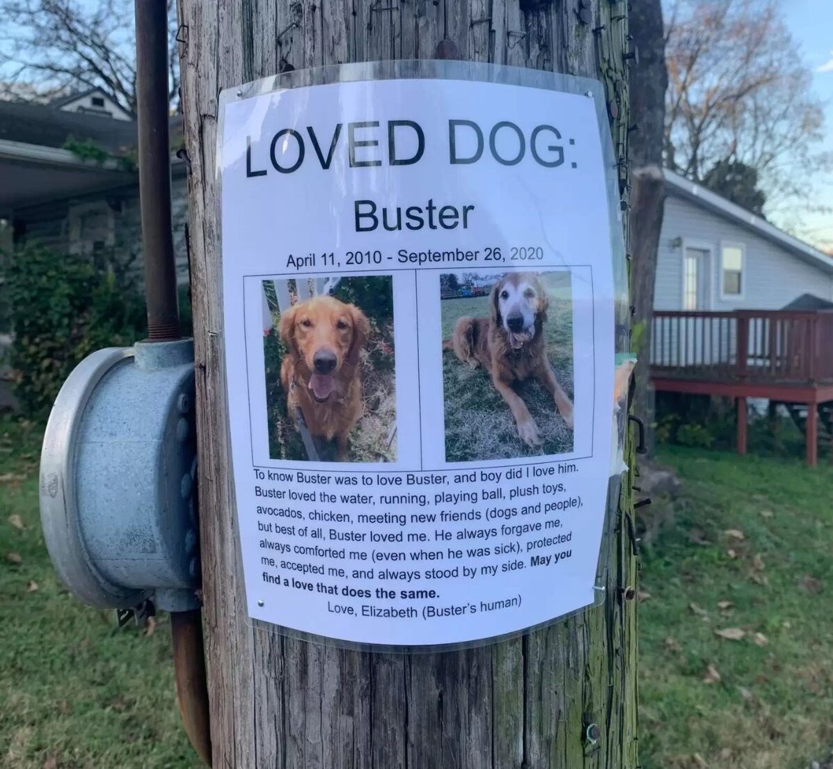 Woman Finds The Sweetest ‘Lost Dog’ Poster