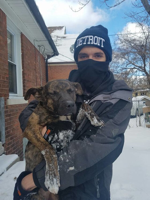 Family Didn’t Want Dog Anymore. So They Chained Her Outside During A Blizzard