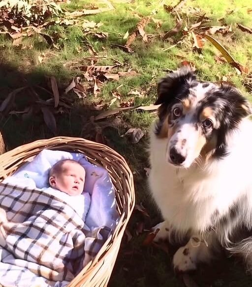 Man Hears His Dog Barking from Afar, Finds It Sitting near an Abandoned Baby – Story of the Day…