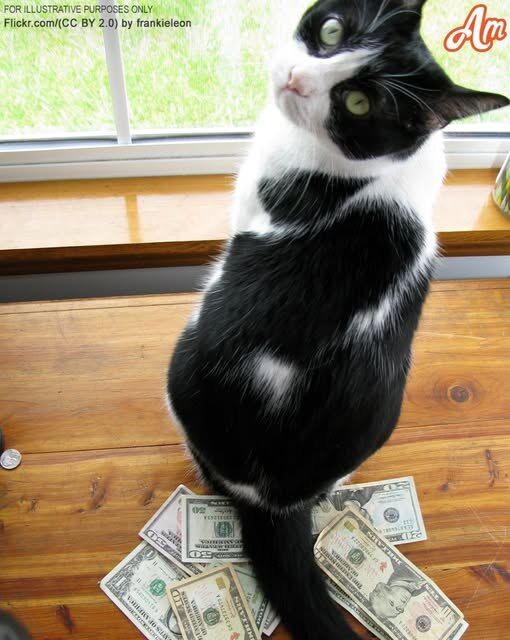 Every day, an older woman discovers cash on the floor, watches her cat retrieve it, and decides to follow him