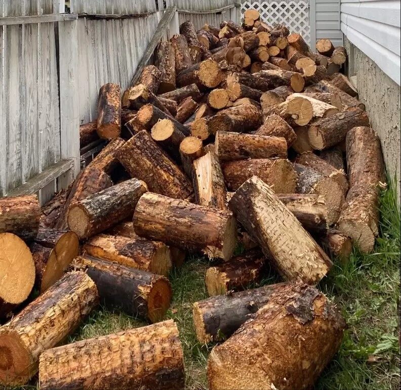 Little Dog Accidentally Blends In Perfectly With Pile Of Logs