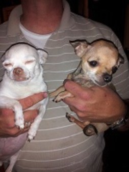 Rescued From Complete Darkness