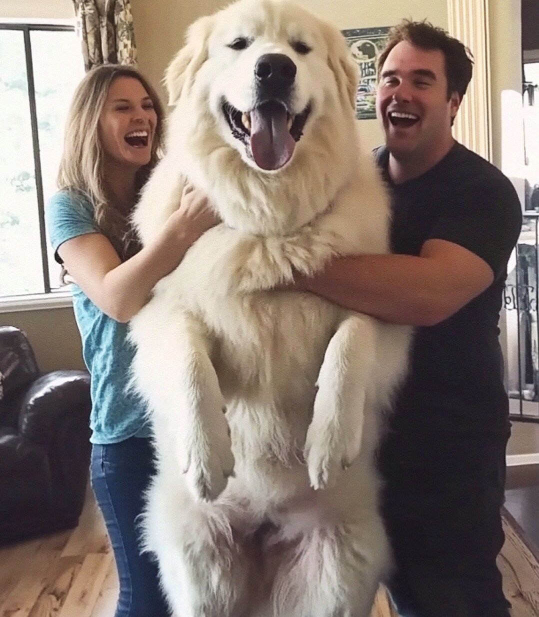 MY SON AND HIS WIFE ARE PLANNING TO KEEP THEIR DOG AFTER THE BABY ARRIVES. IS THIS EVEN NORMAL?