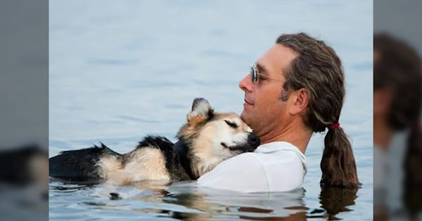 Man Comforts His 19-Year-Old Dog by Floating With Him Every Day