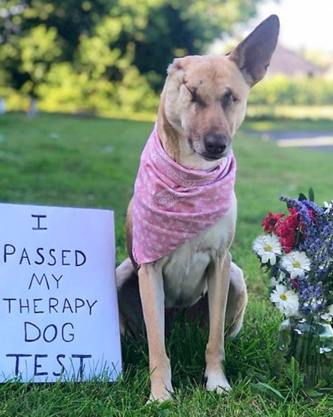 “Maggie: From Broken and Blind to a Beacon of Hope”