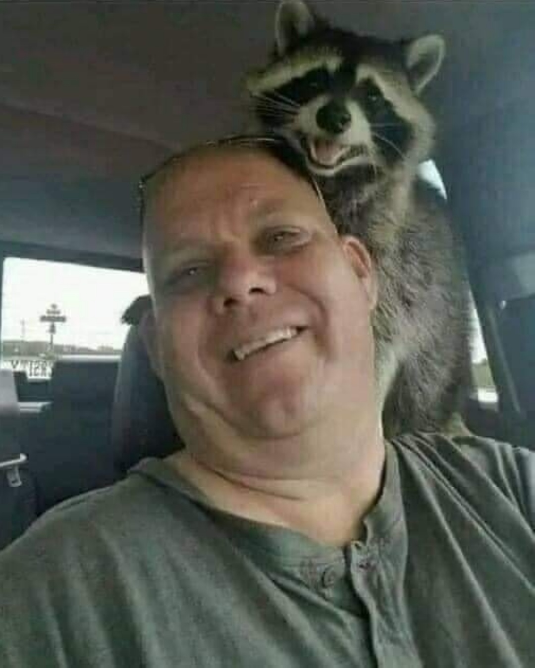 A Soulmate’s Goodbye: Remembering My Beloved Companion