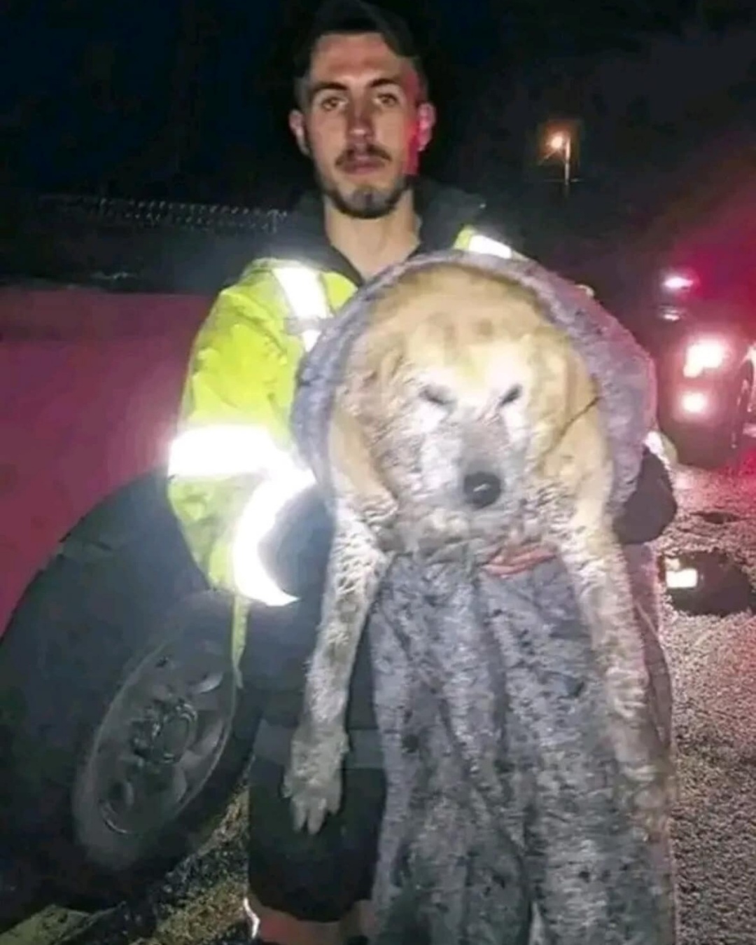 A Hero’s Brave Rescue: Saving Grace from Icy Waters