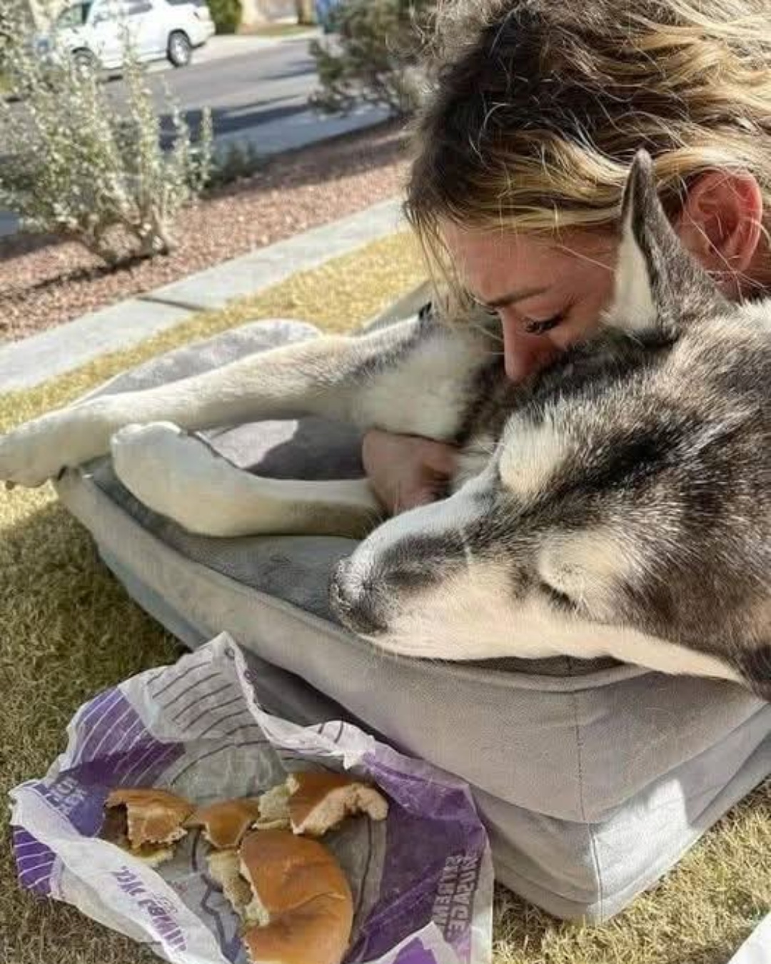 Saying Goodbye to Sam: A Bond That Lasted 18 Years.