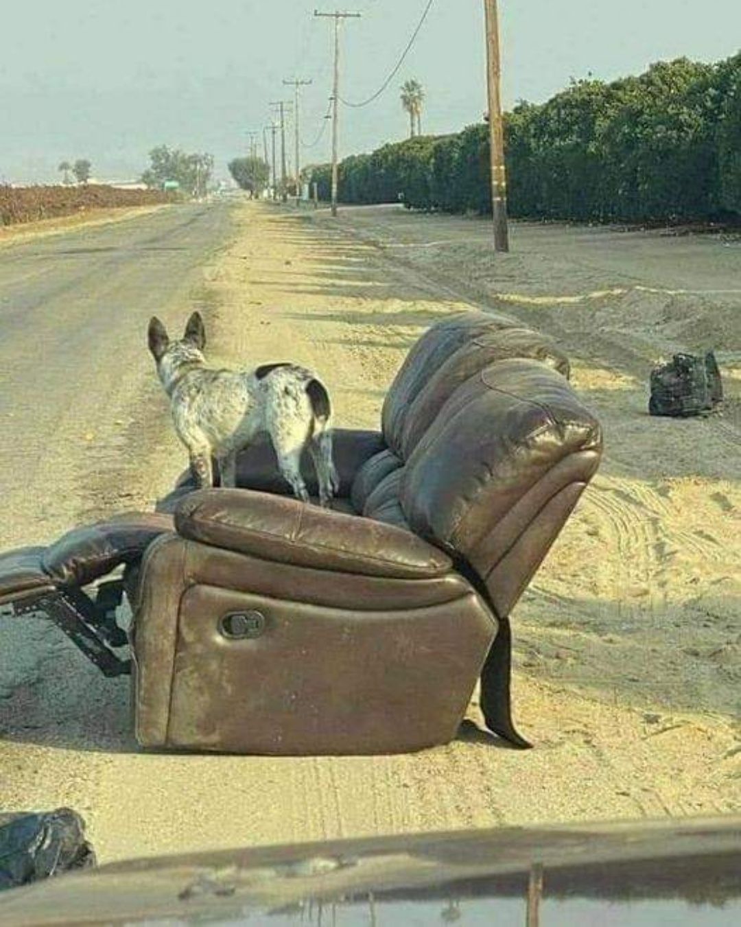 Waiting for Someone Who Wouldn’t Return.