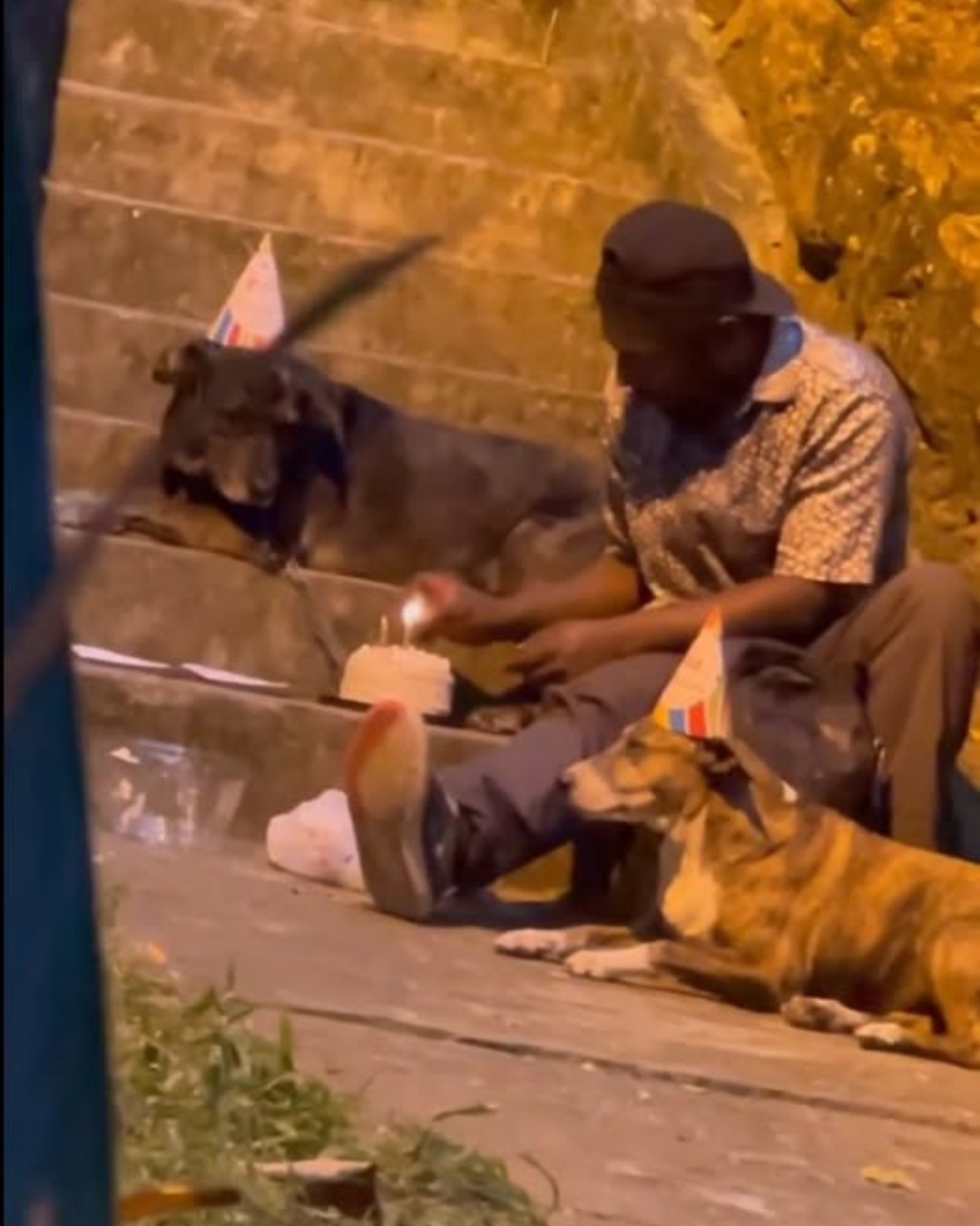 A Homeless Man’s Heartfelt Gift: Throwing a Birthday Party for His Dogs.837