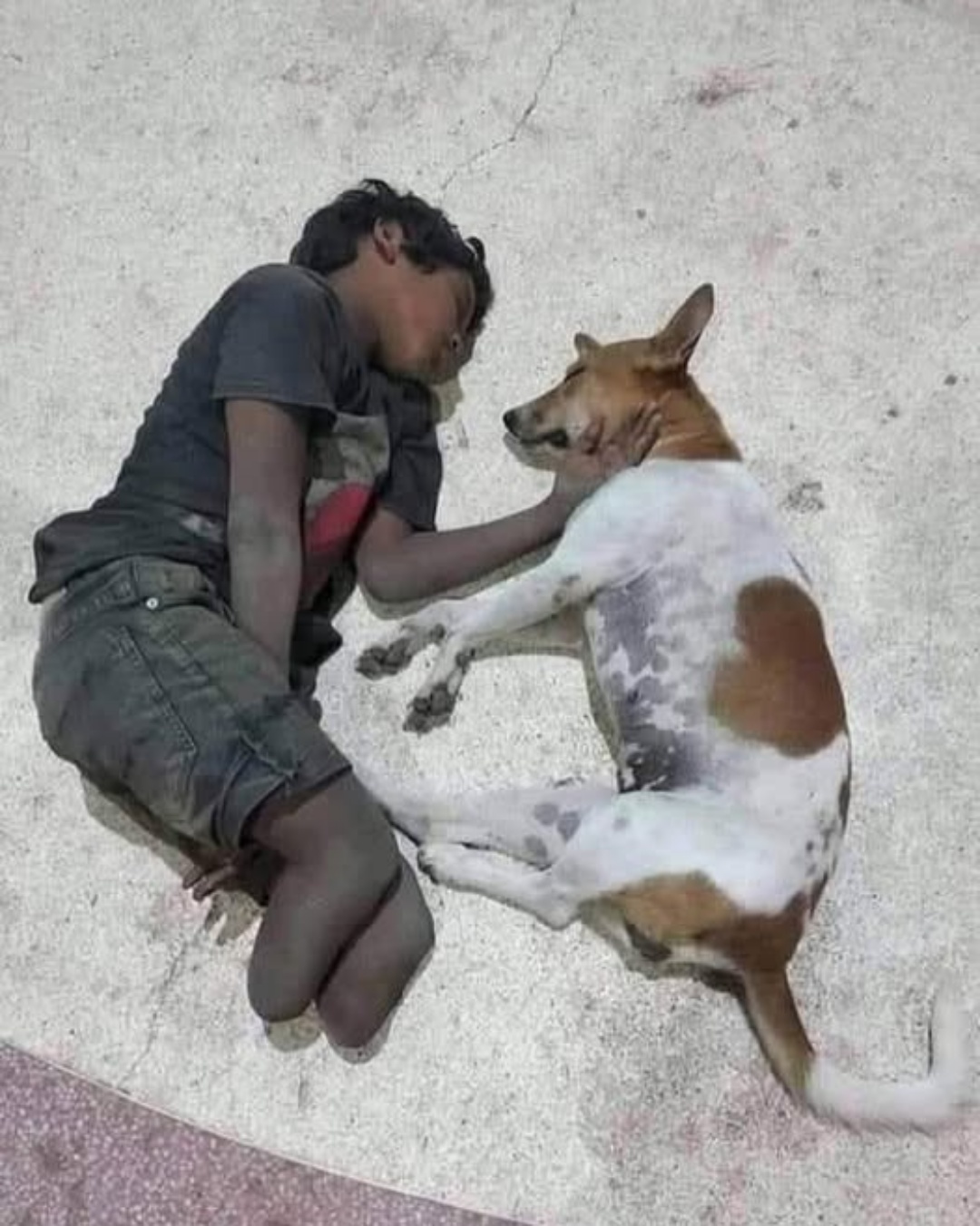 Today They Played, Tonight They Slept in Love