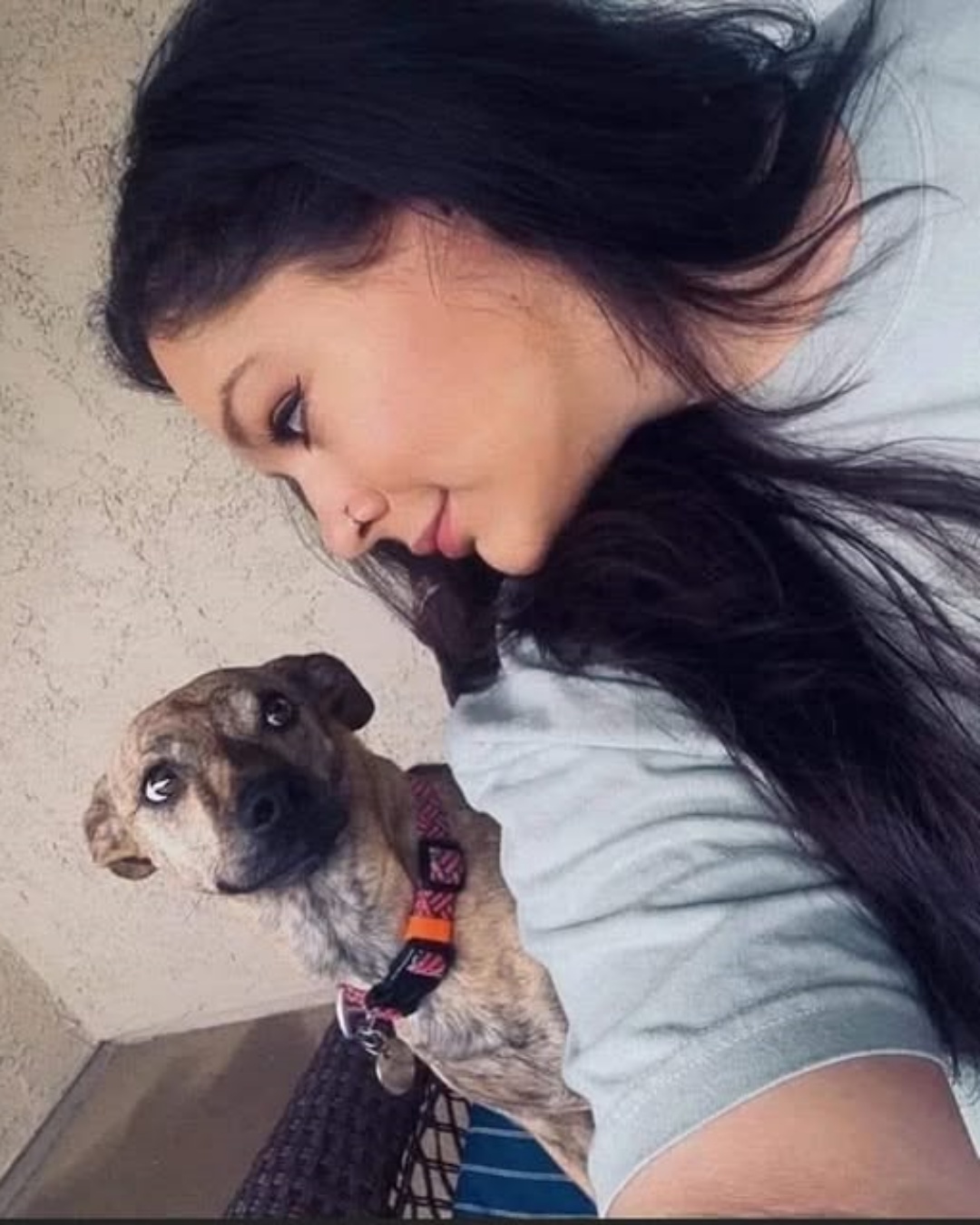 The Shy Dog Who Taught Me to Love Again.