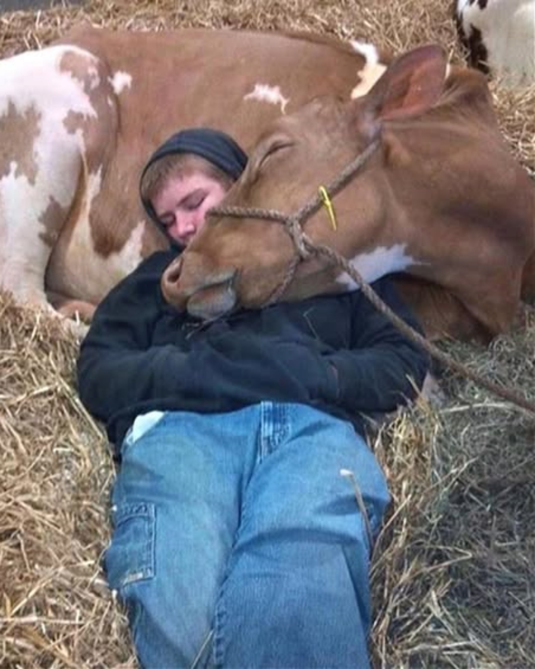 When a Child’s Love Became the Best Medicine.