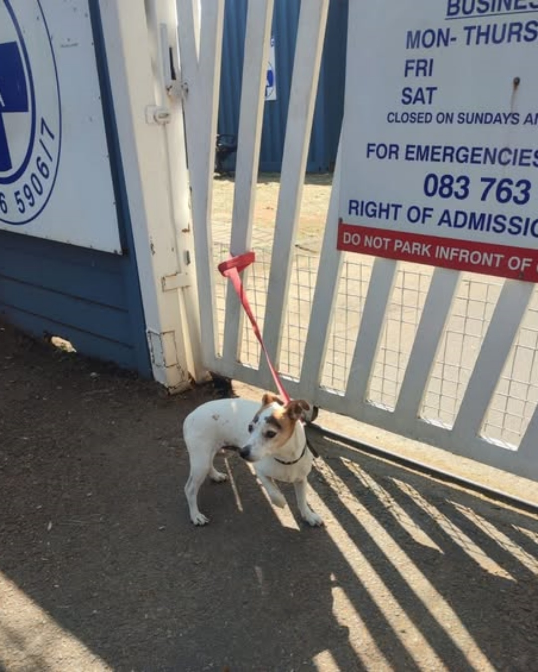 Even When the Gates Are Closed, We’re Here for Your Pets.