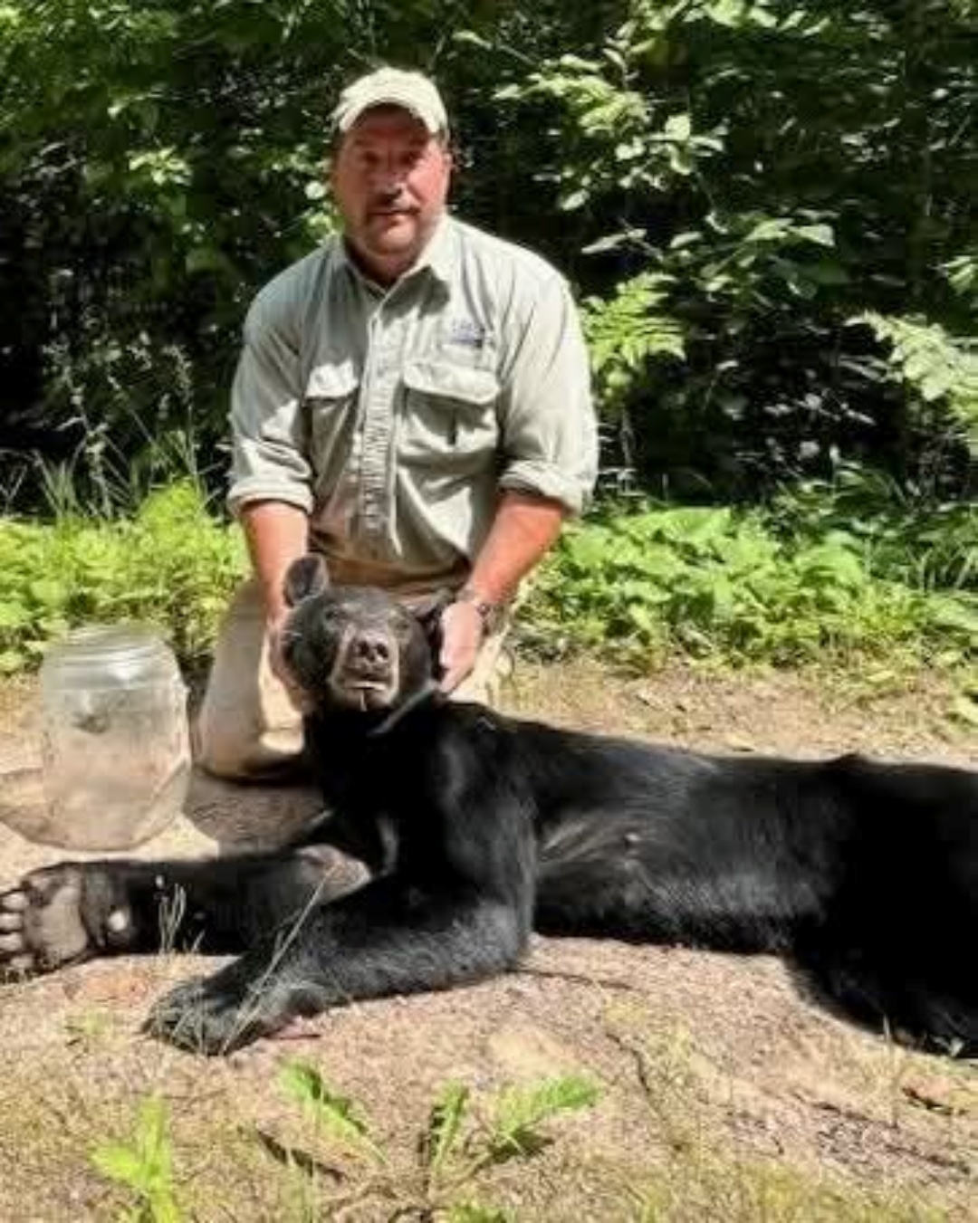Trapped but Unbroken: A Bear’s Fight for Freedom.