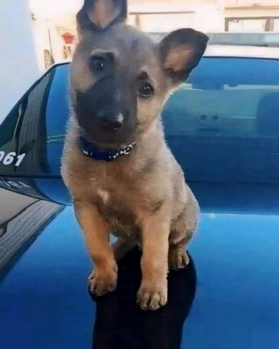 If I Didn’t Take Him, He Wouldn’t Be Here.