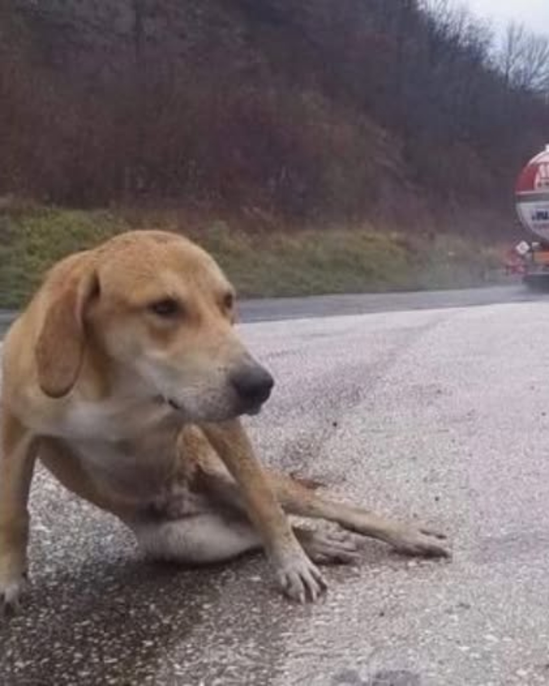 “Don’t Give Up. I’m Here Now.” The Words That Saved Him.