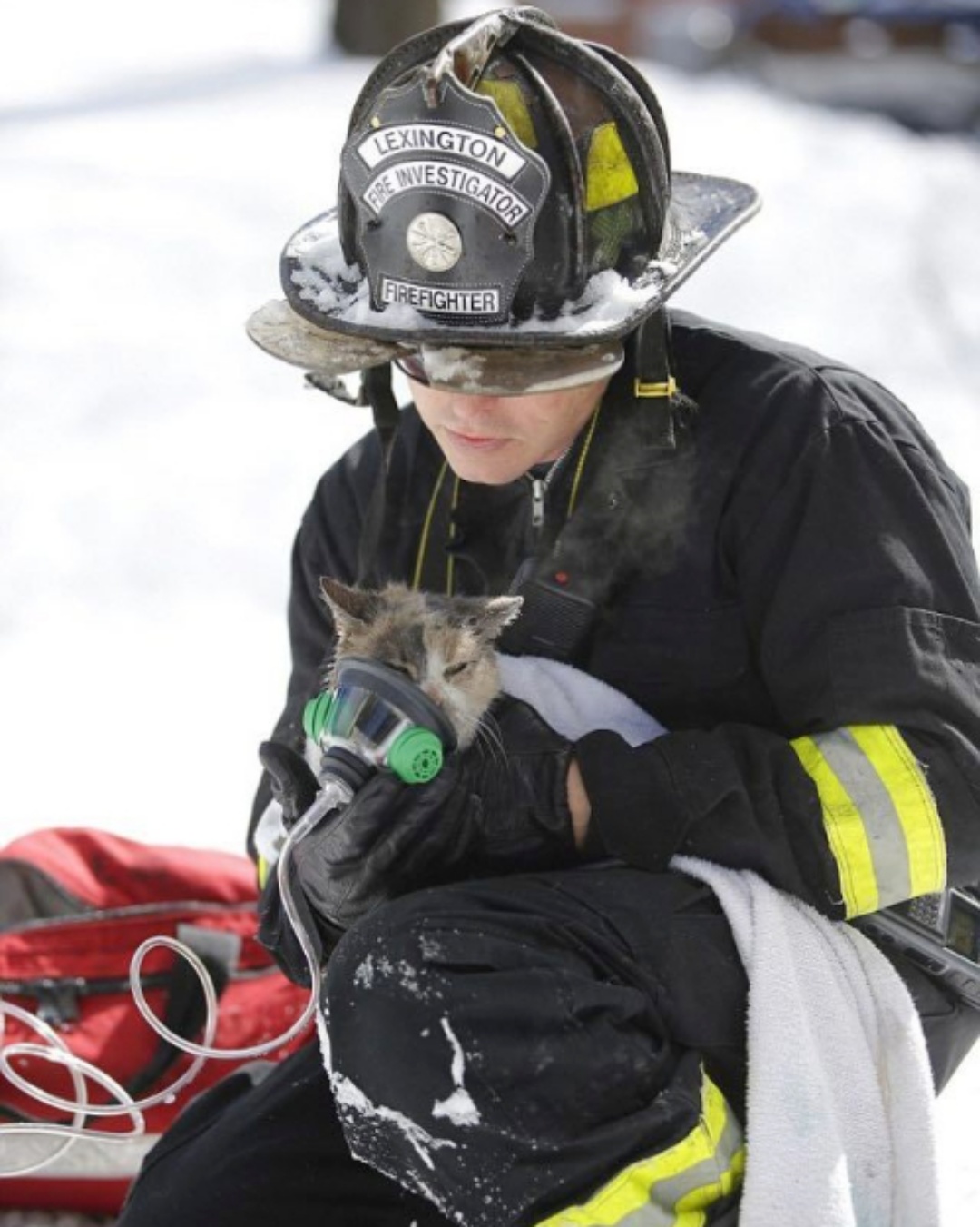 Prissy Escaped the Flames—But Found Comfort in a Firefighter’s Arms.